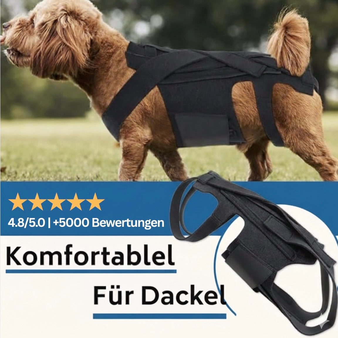 Dackel Rückenbandage für IVDD