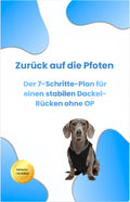 E-Book - Zurück auf die Pfoten