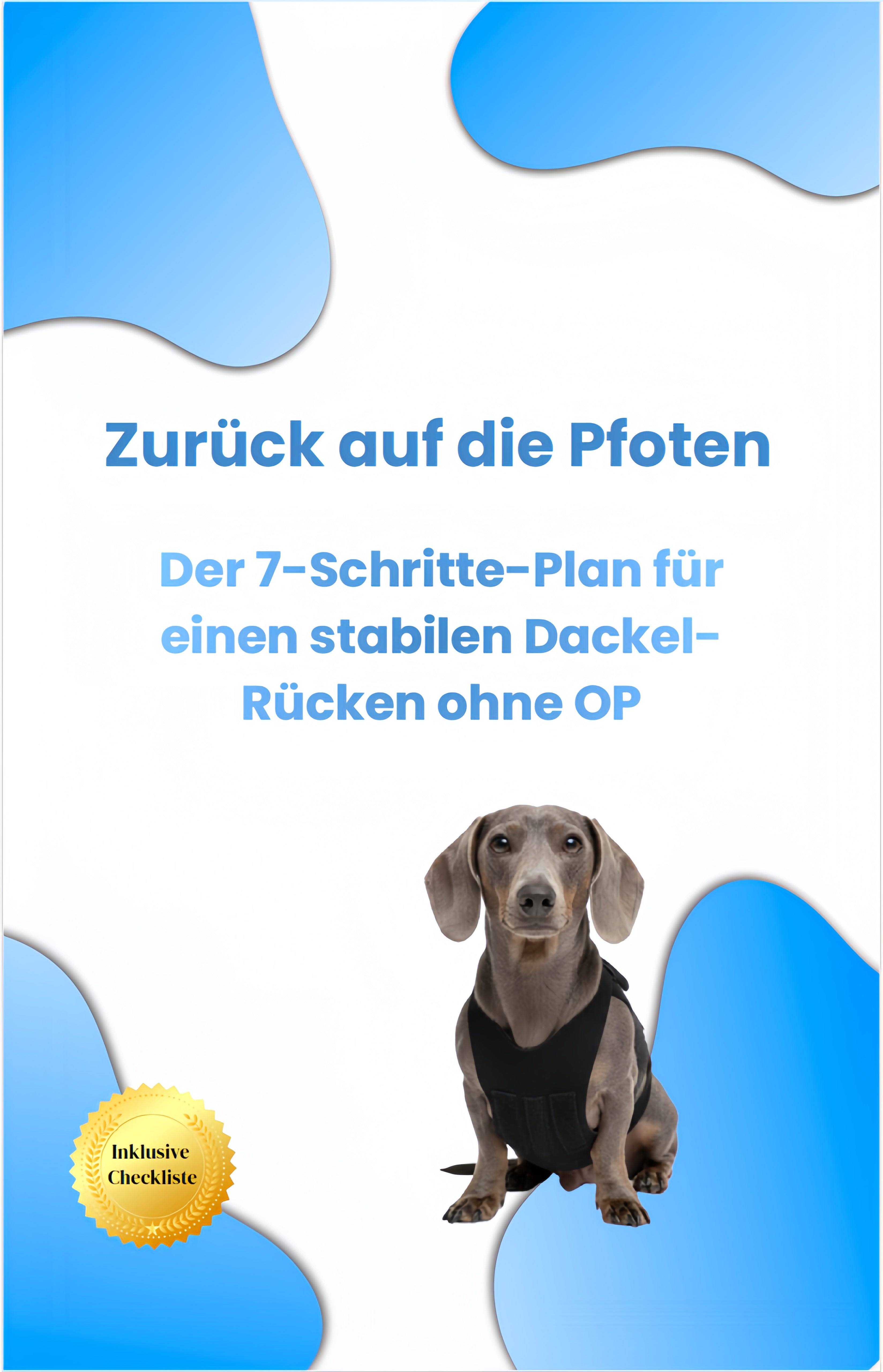 E-Book - Zurück auf die Pfoten