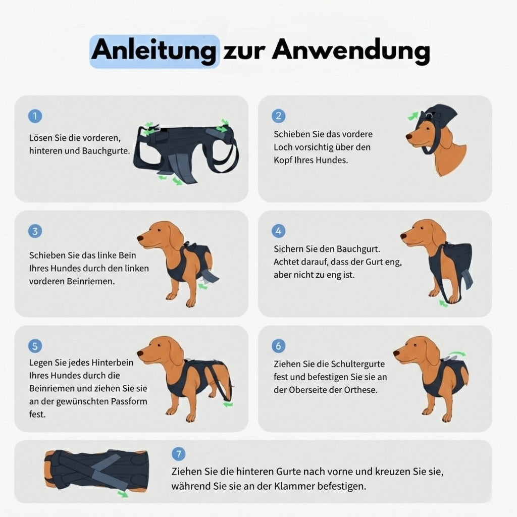 DackelDepot™ Rückenstütze