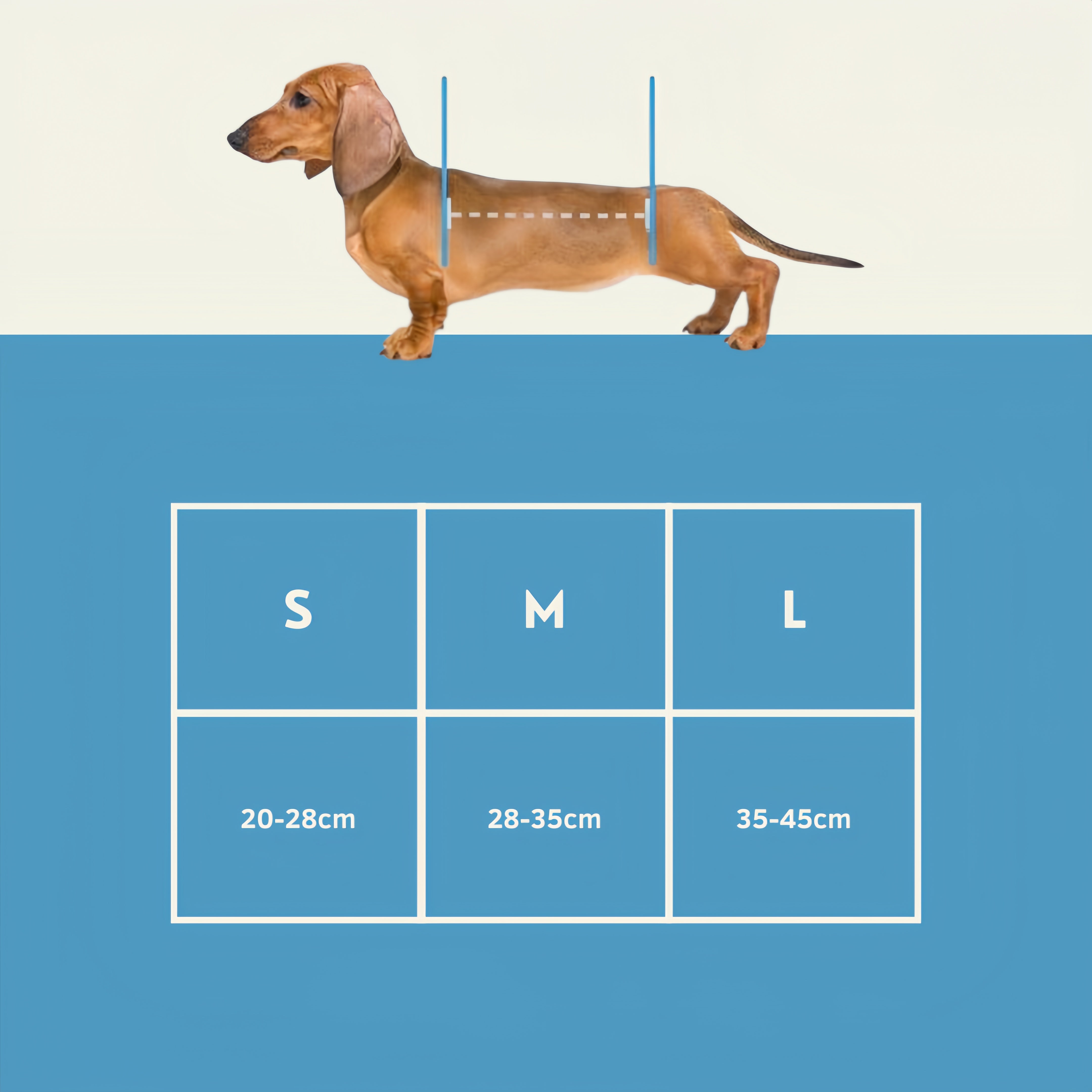 DackelDepot™ Rückenstütze