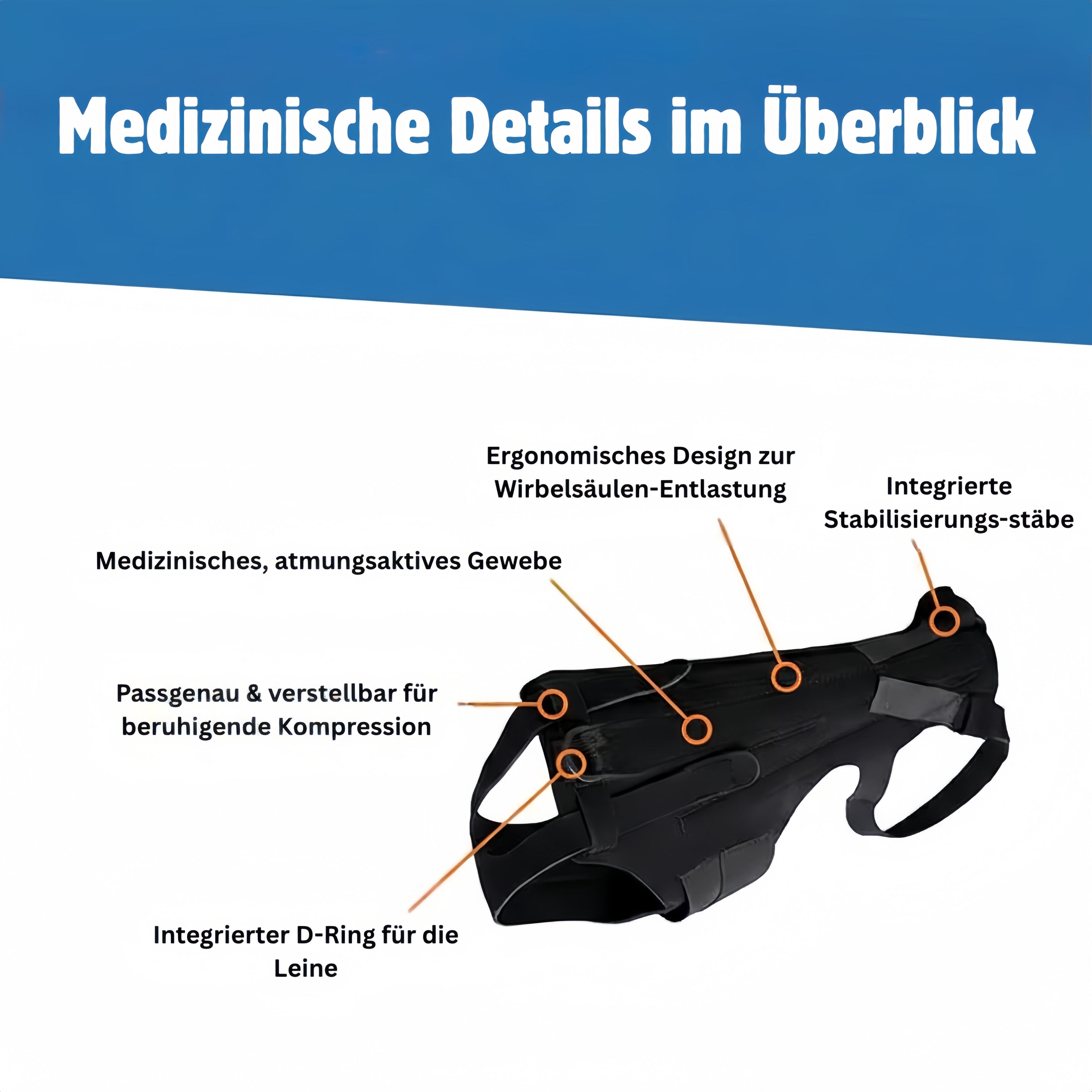 DackelDepot™ Rückenstütze