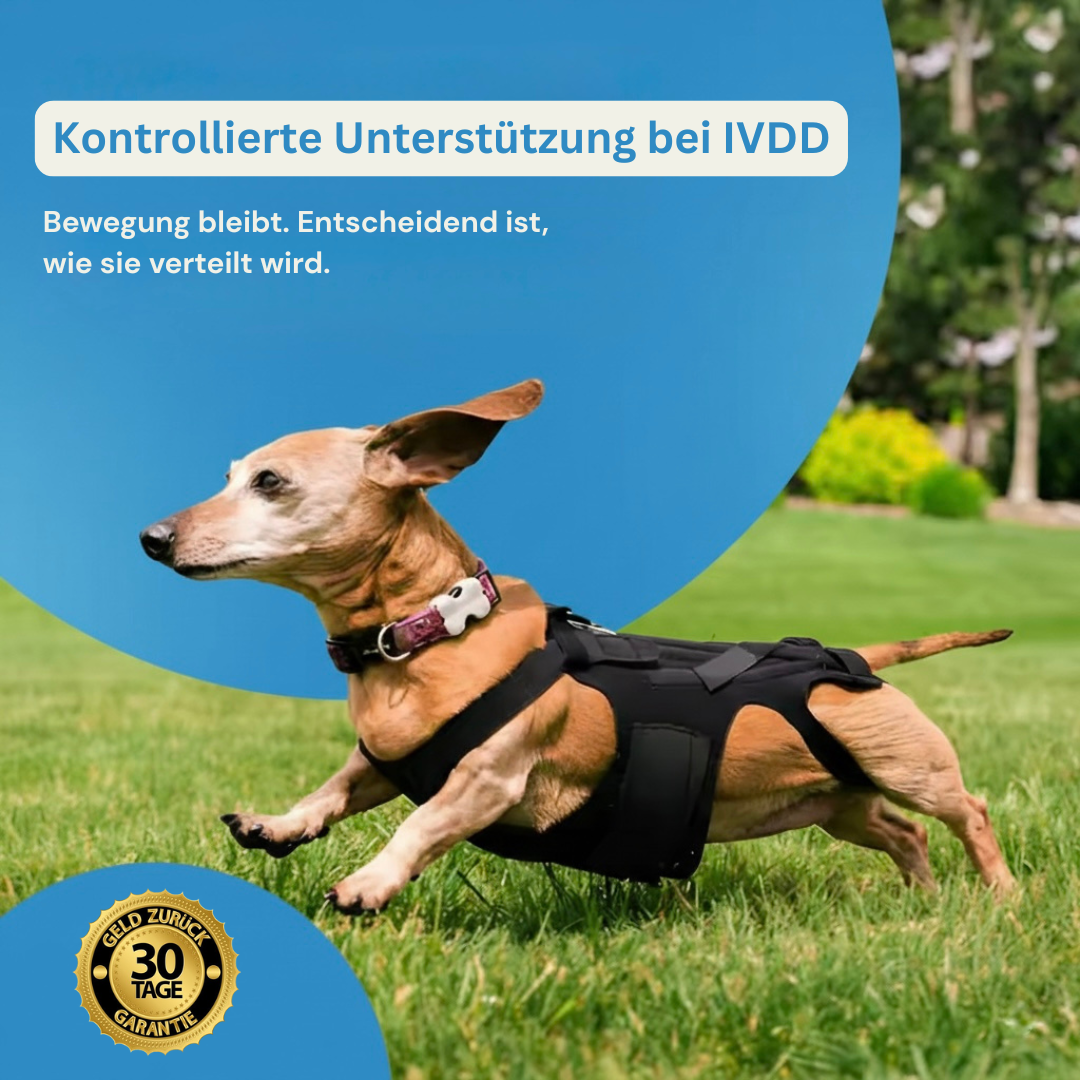 DackelDepot™ Rückenstütze