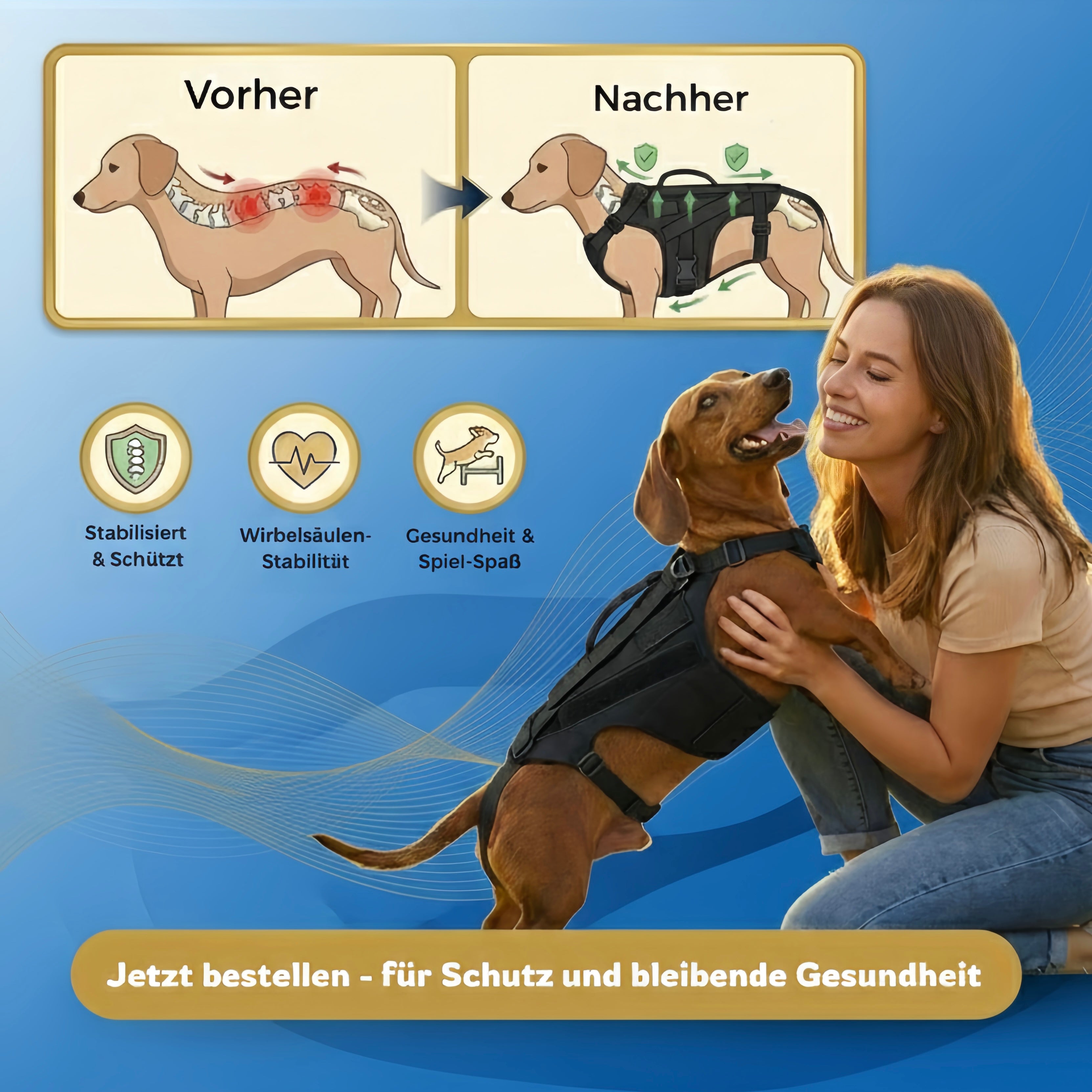 DackelDepot™ Rückenstütze