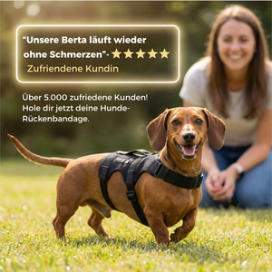 Dackel Rückenbandage für IVDD